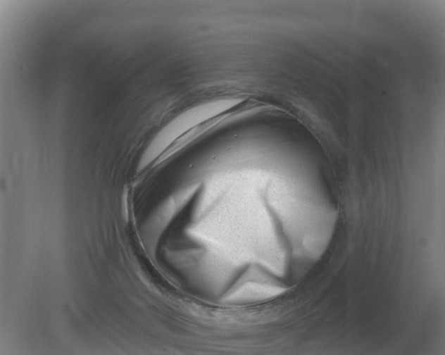 X0000079580022200612152117