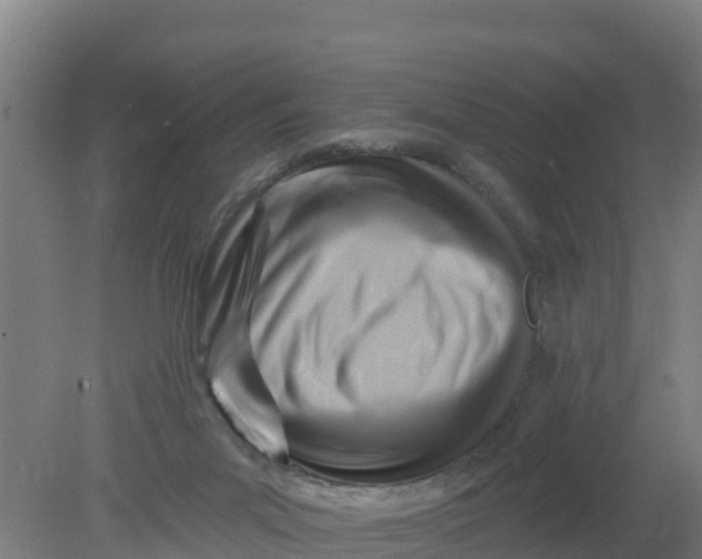 X0000079580023200612152117