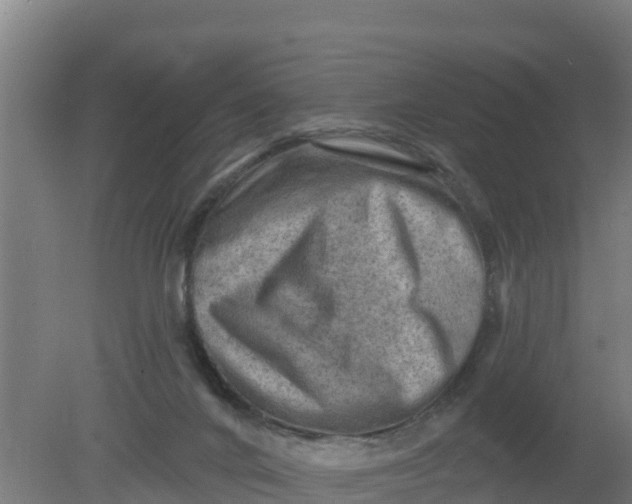 X0000079580024200612152117