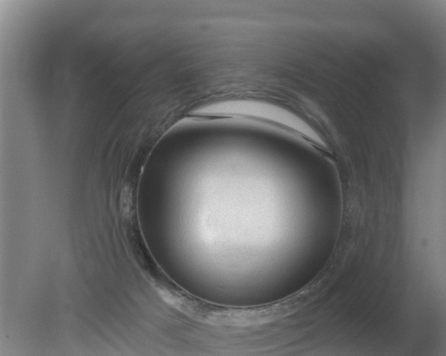 X0000079580025200612152117