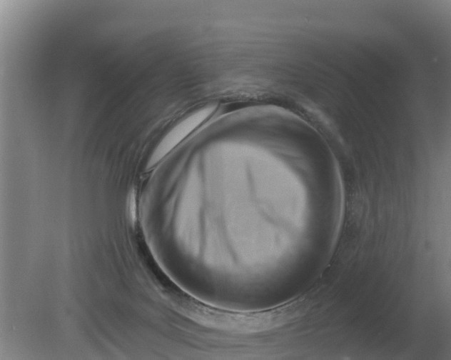 X0000079580027200612152117