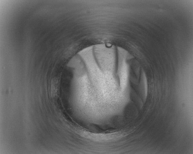 X0000079580030200612152117