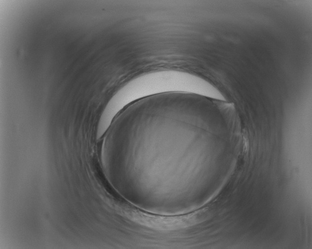 X0000079580031200612152117