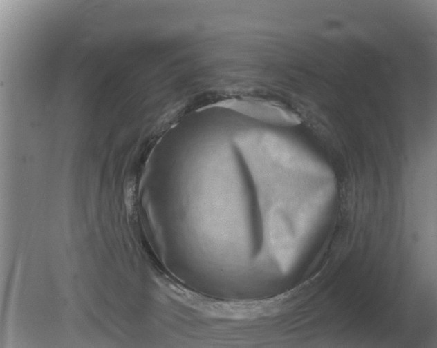 X0000079580033200612152117