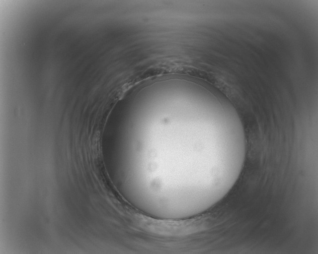 X0000079580034200612152117