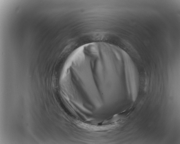 X0000079580035200612152117