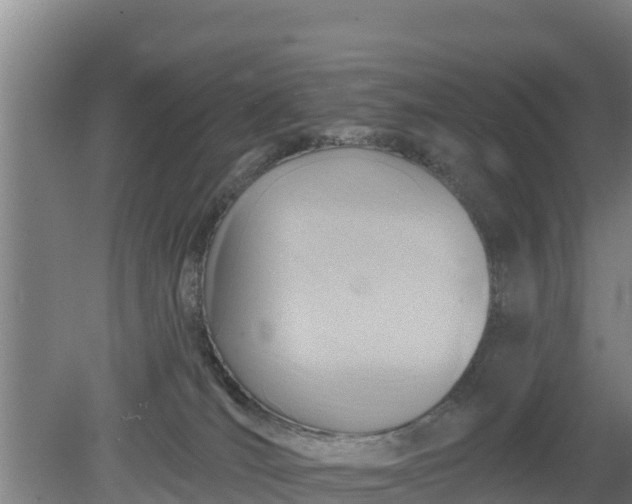 X0000079580036200612152117