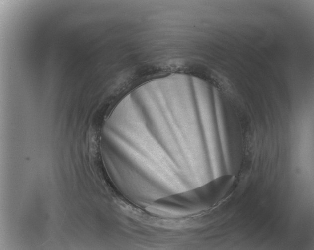 X0000079580037200612152117