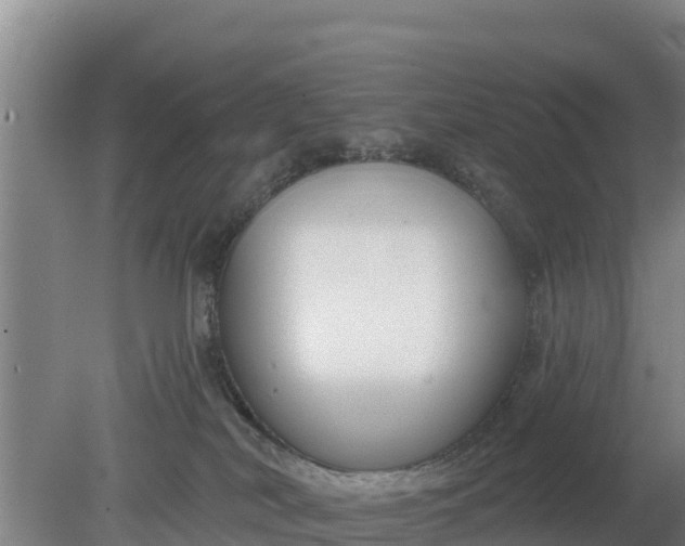 X0000079580038200612152117