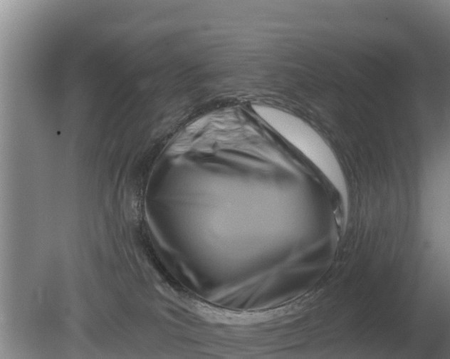 X0000079580039200612152117