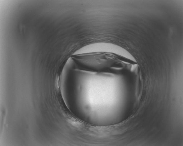 X0000079580041200612152117