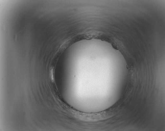 X0000079580042200612152117