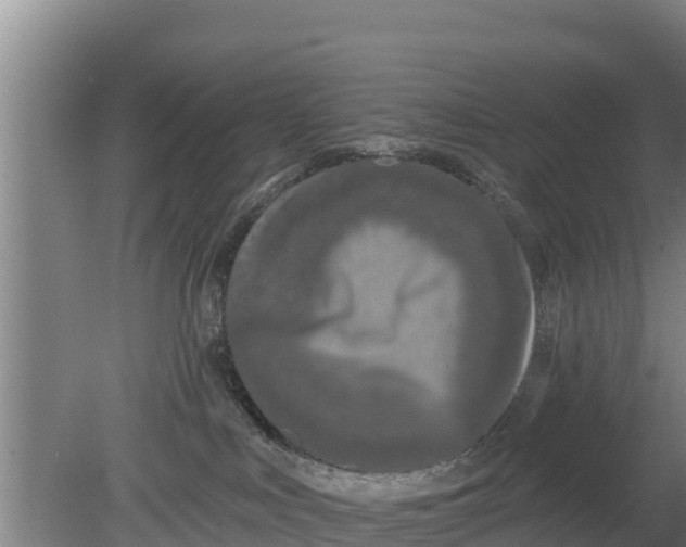 X0000079580043200612152117