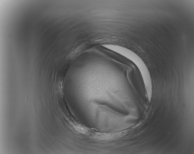 X0000079580045200612152117