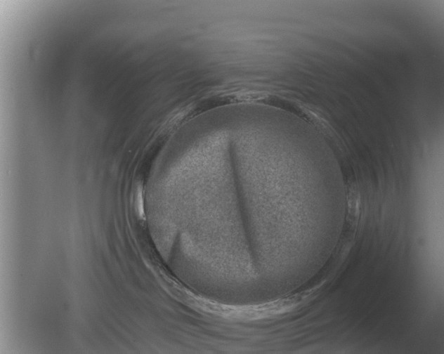 X0000079580046200612152117