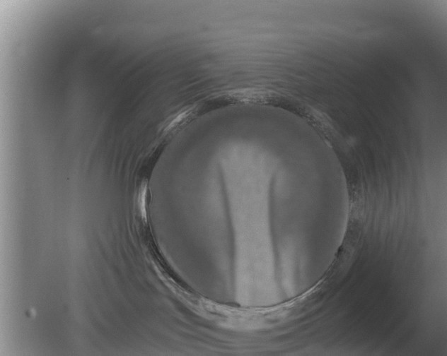 X0000079580047200612152117