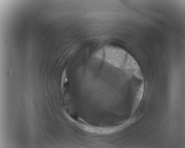 X0000079580048200612152117