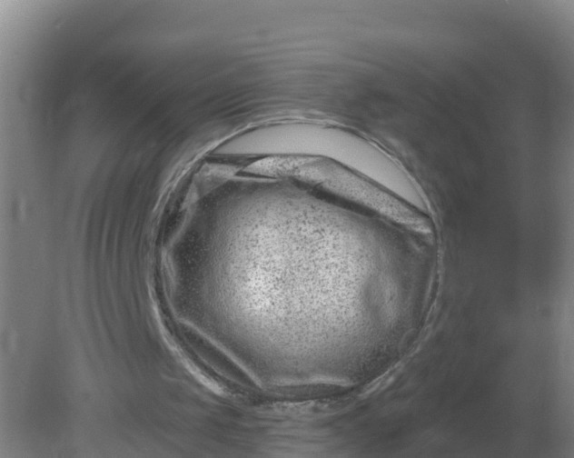 X0000079580049200612152116