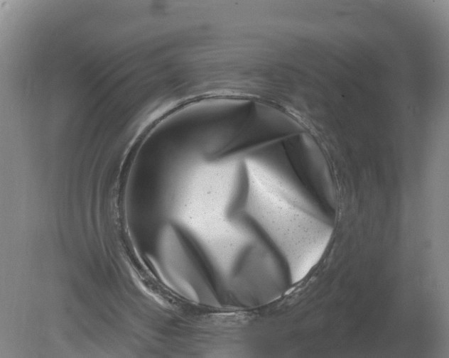 X0000079580050200612152116