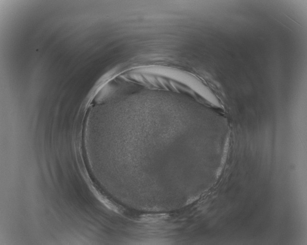 X0000079580051200612152116