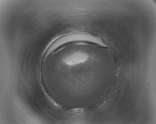 X0000079580052200612152116