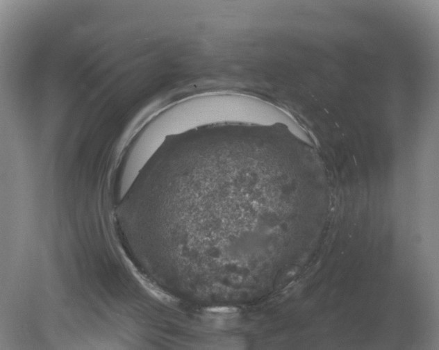 X0000079580053200612152116