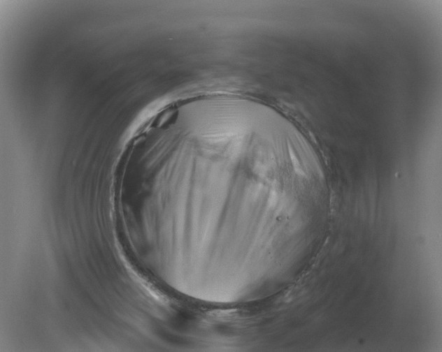 X0000079580054200612152116