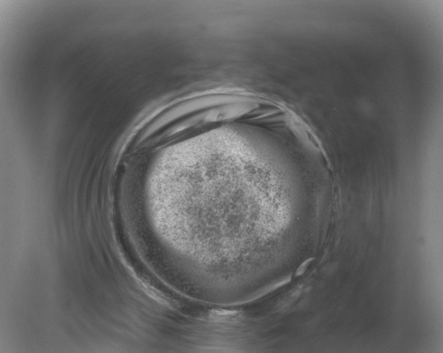 X0000079580055200612152116