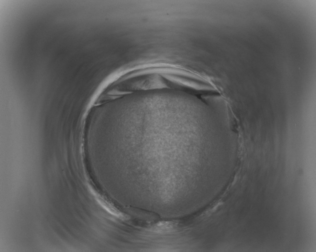 X0000079580056200612152116