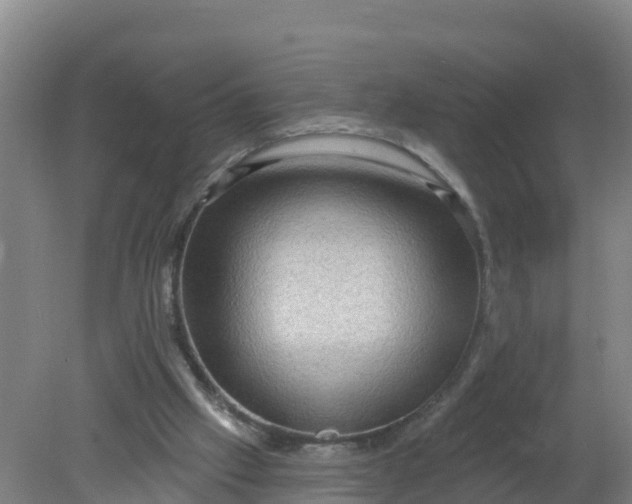 X0000079580057200612152116