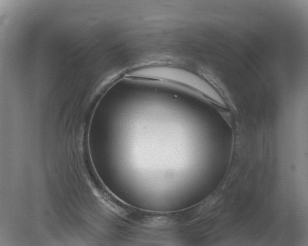 X0000079580058200612152116