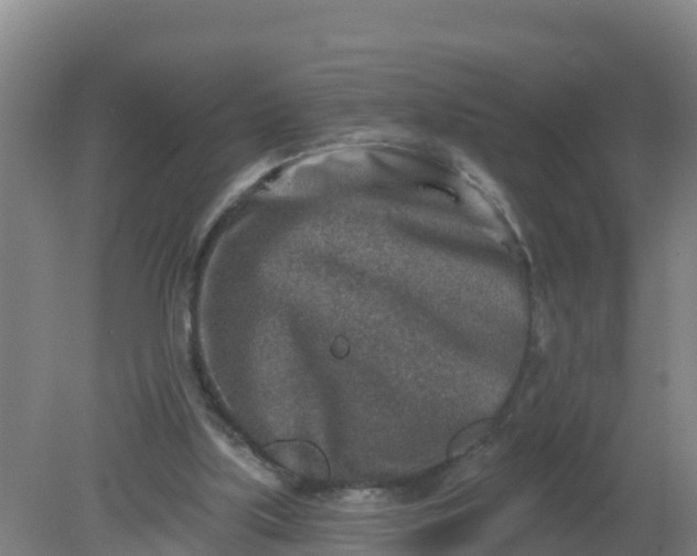 X0000079580059200612152116