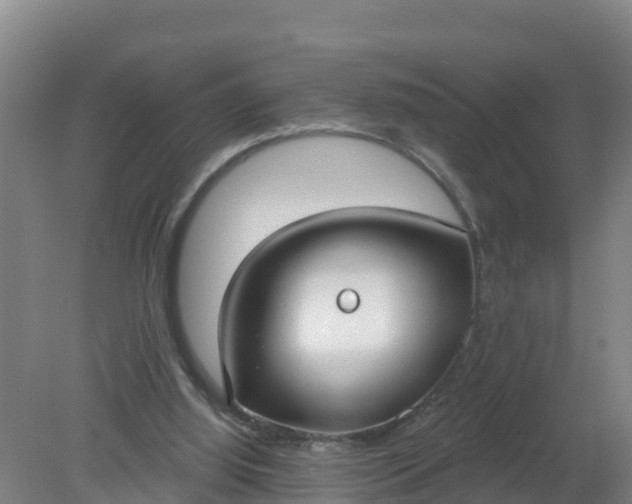 X0000079580060200612152116