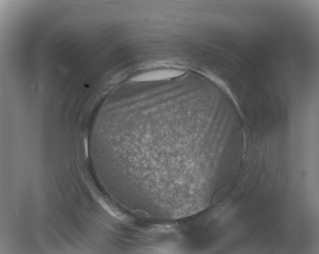 X0000079580061200612152116