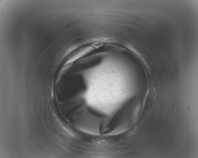 X0000079580062200612152116