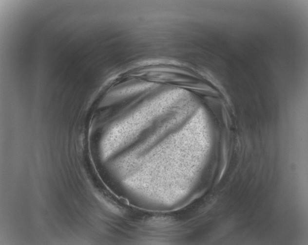 X0000079580063200612152116