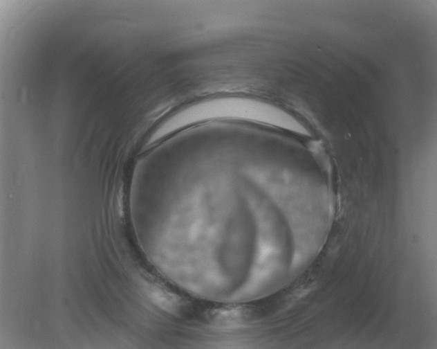 X0000079580068200612152117