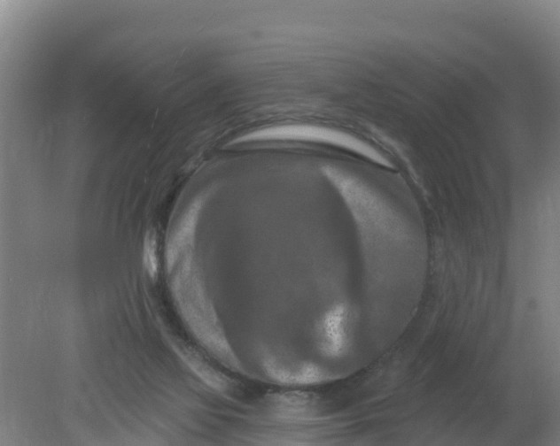 X0000079580069200612152117