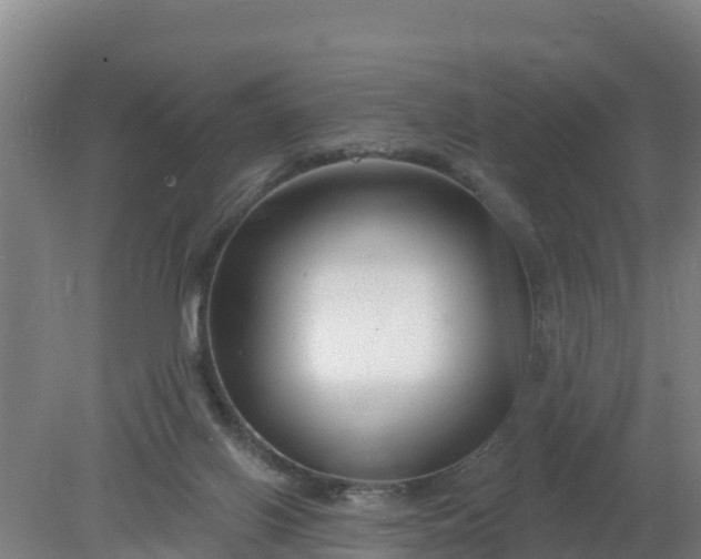 X0000079580070200612152117