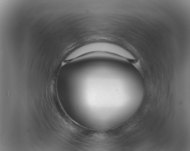 X0000079580071200612152117