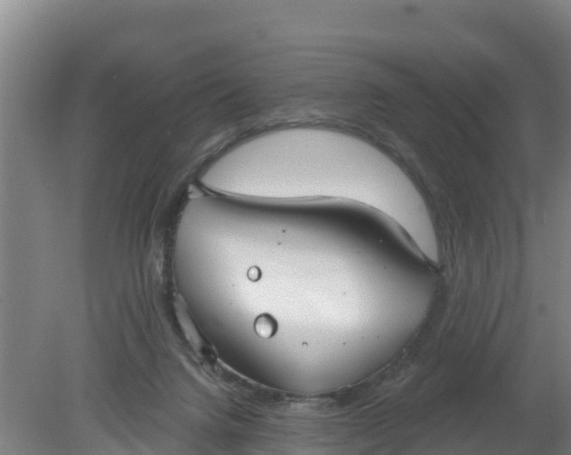 X0000079580072200612152117