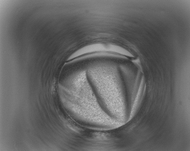 X0000079580073200612152117