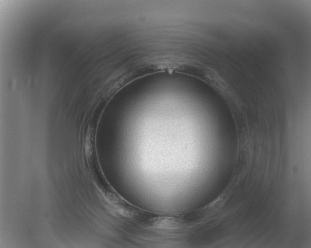 X0000079580074200612152117