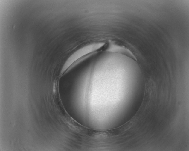 X0000079580075200612152117