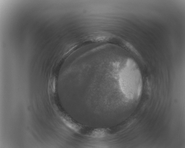 X0000079580076200612152117