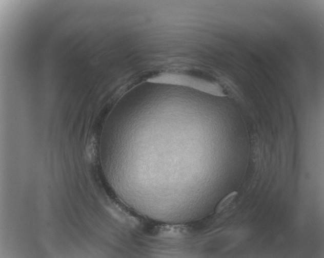 X0000079580077200612152117