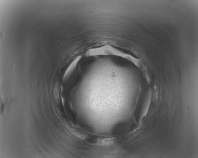 X0000079580078200612152117