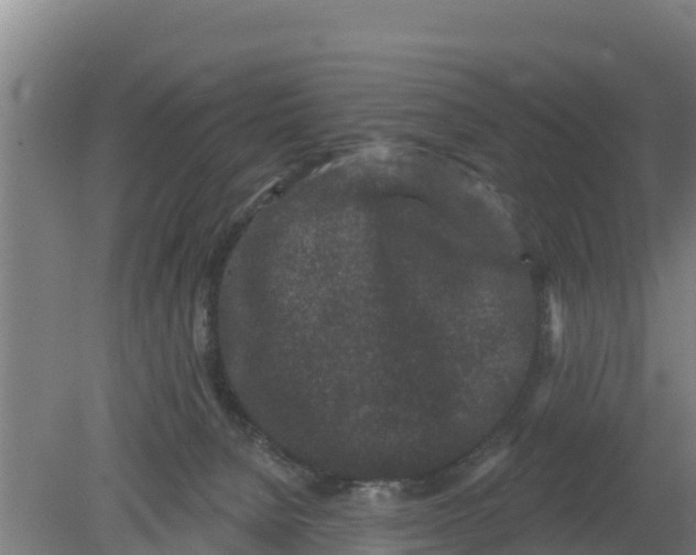 X0000079580080200612152117