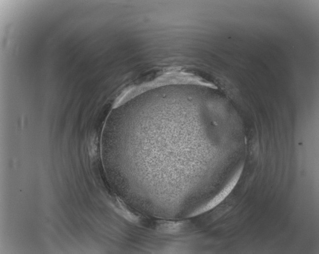 X0000079580081200612152117