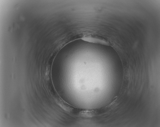 X0000079580082200612152117